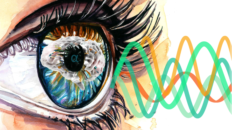 дпдг техника