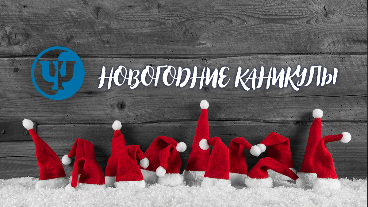 Новогодние каникулы