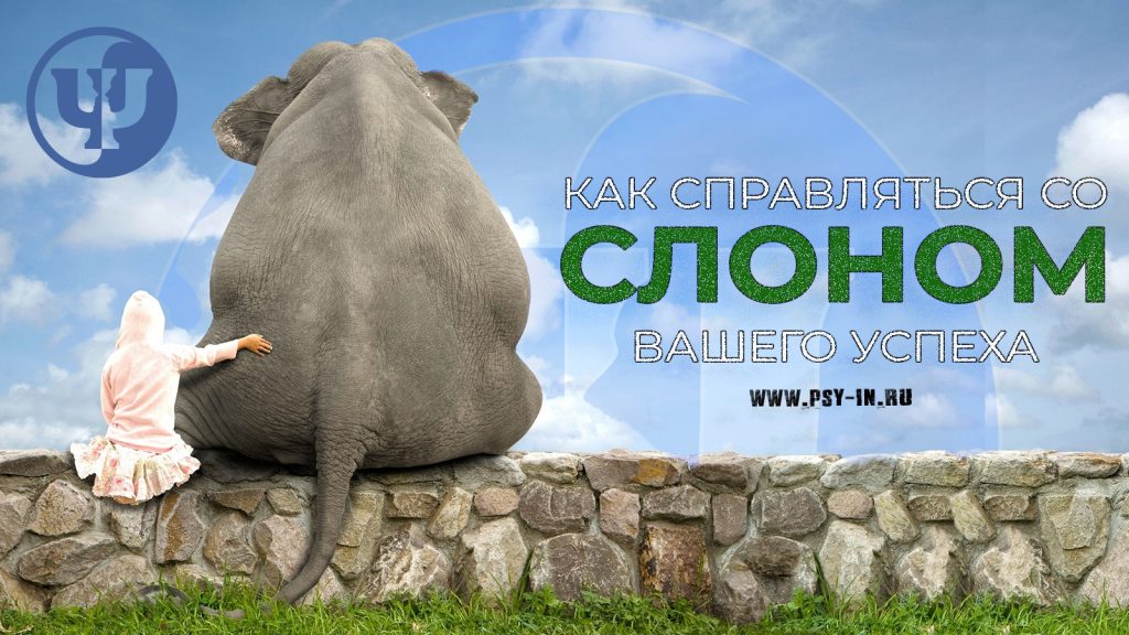 как справляться со слоном